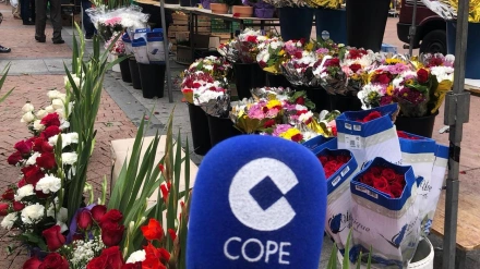 Venta de flores en Ávila