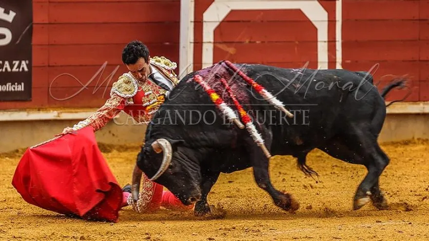 El toreo se viste de gala con los premios "Virgen del Prado" de ‘Cargando la Suerte’: Estos son los triunfadores