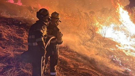 Diego Soto, Vicerrector de Deporte