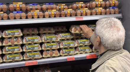 Una persona coge unos huevos en un supermercado