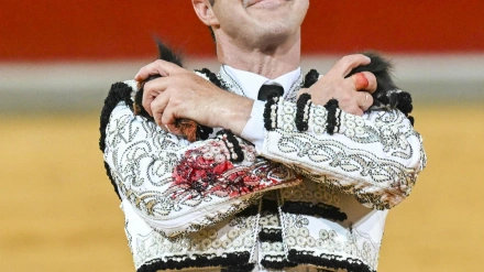 08X14: El Fandi, 25 años de entrega y un horizonte renovado | El Albero