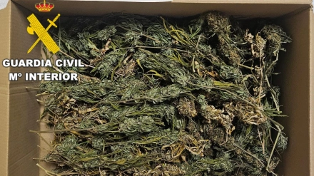 Interceptado con medio kilo de marihuana en un control rutinario en El Bierzo (León)