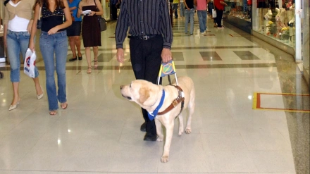 Rosario Belzunces narra cómo estos animales le han devuelto la autonomía y la seguridad que había perdido por su discapacidad visual