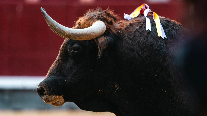 13X14: Cuadri no espera a nadie y abre el fuego en marzo | El Albero