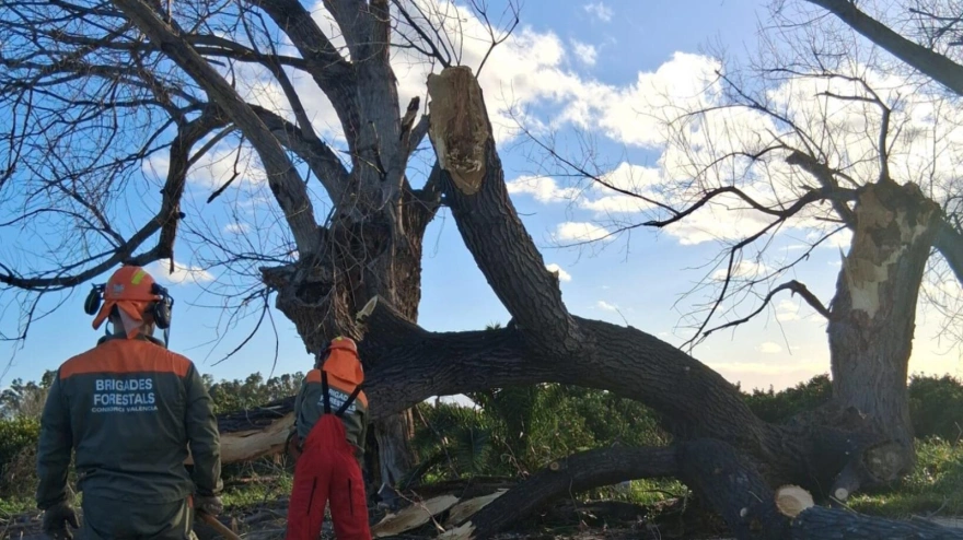 Daños ocasionados por la Borrasca Leonardo en Valencia