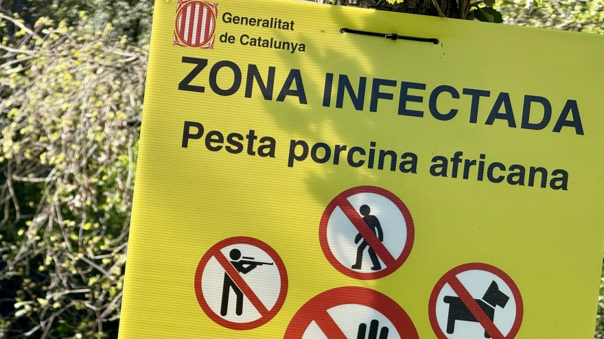 Los Mossos blindan los bosques en Semana Santa para frenar la peste porcina