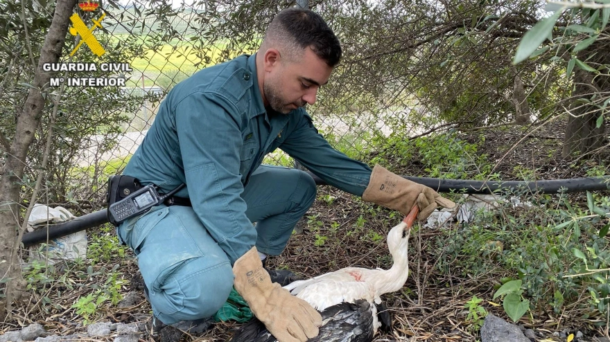 Intervención Guardia Civil