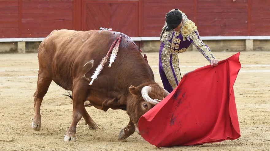 Manuel Diosleguarde, durante su actuación el pasado sábado en Miraflores de la Sierra