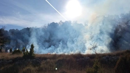 Ajuntament de Morella