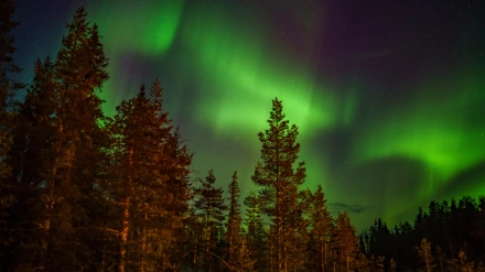 Aurora boreal en Suecia