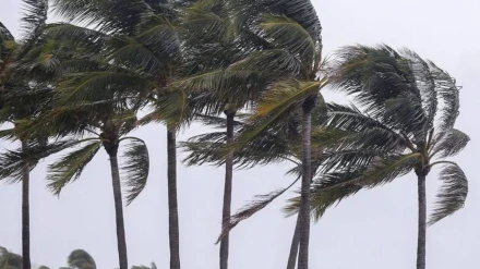 Viento Canarias