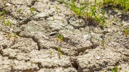 Expertos alertan: Jaén podría sufrir hasta 68 días de sequía en 2030