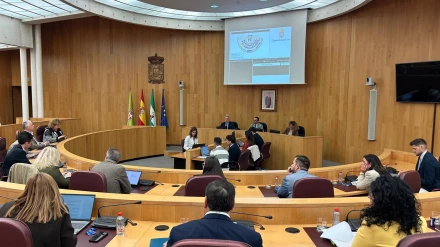 Pleno de la Diputación de Granada