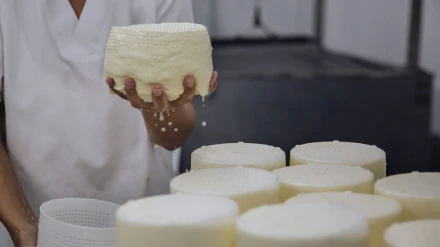 Los quesos de Airas Moniz se hacen de forma artesanal