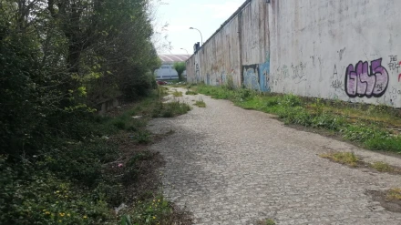 Zona en donde se realizará el homenaje