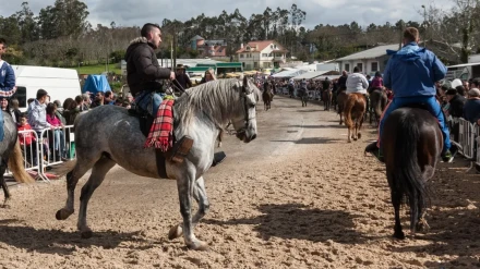 Foto de archivo de una edición pasada de la feria en la zona de San Ramón
