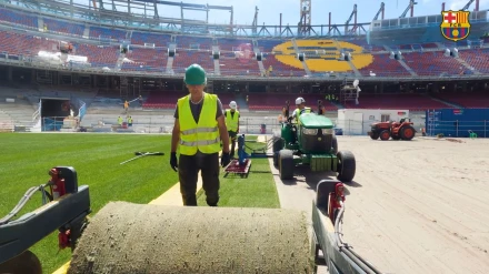 Comienza la colocación del nuevo césped del Camp Nou.