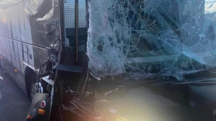 Imagen de la zona delantera del bus albinegro