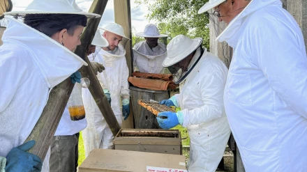 Foto de archivo de un curso apicultura en San Sadurniño