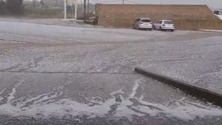 Granizo en La Rioja Baja