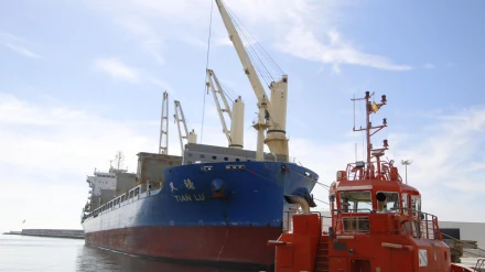 Casi 300.000 toneladas transportadas en abril, lo hace el mejor mes de la história del puerto de Motril