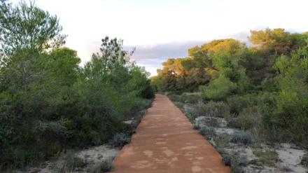 La Dehesa de El Saler