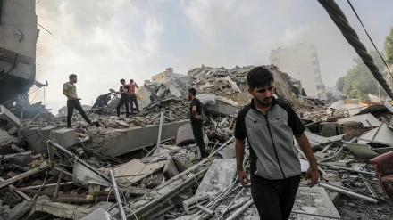 Gaza