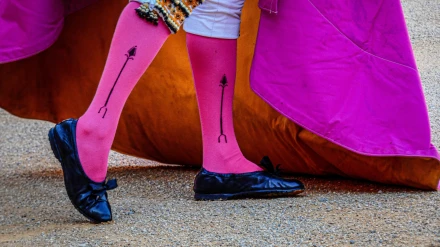 Ya se conocen los galardonados de los Premios Taurinos de la Provincia