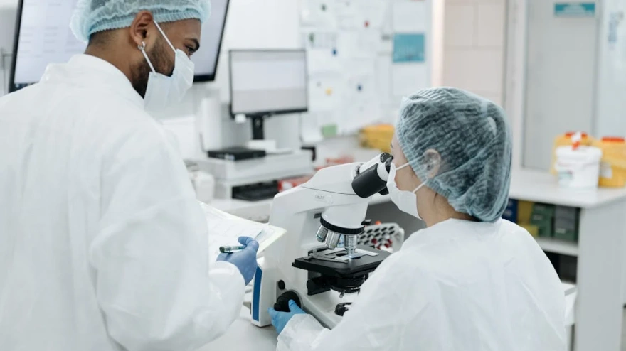 Científicos investigando