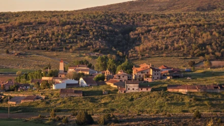 Selas (Guadalajara)