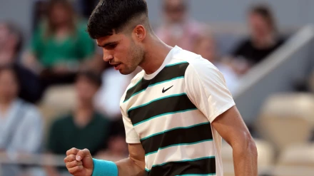 Carlos Alcaraz vs Damir Dzumhur