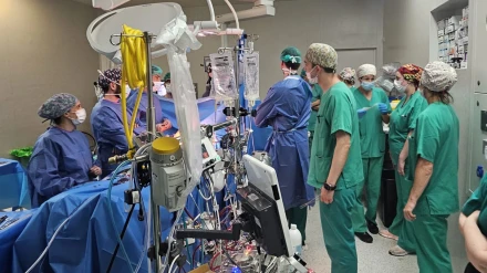 Grupo de sanitarios del Hospital de Dénia en plena intervención