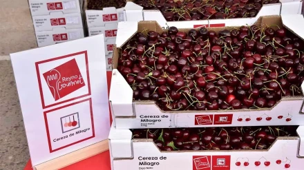 Cereza de Milagro