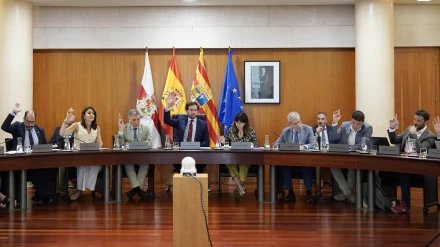Votaciones en el pleno ordinario de junio