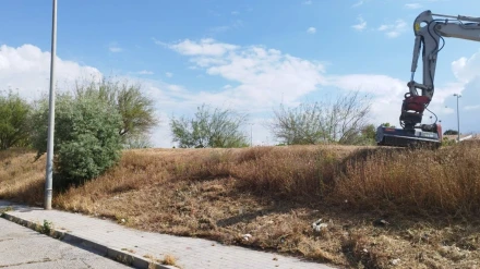 Obras de desbroche en Granada