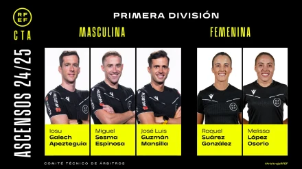 Informe arbitral de la temporada 2024/25 para las categorías profesionales