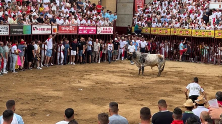 Lidia en la Plaza de Toros de Coria