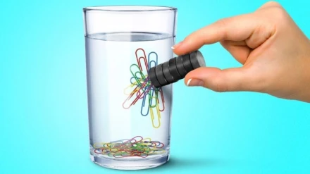 El agua estructurada llega con más facilidad a cada rincón del cuerpo