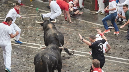 Toros de la ganadería gaditana de Fuente Ymbro protagonizan el primero encierro de los Sanfermines de 2025