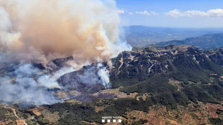 El incendio forestal de Paüls (Tarragona)