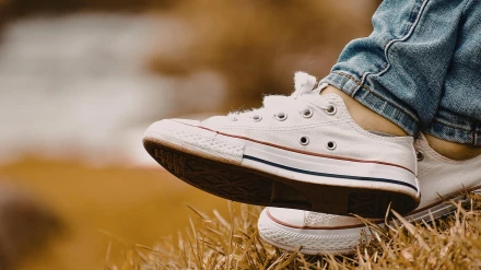 Imagen de unas zapatillas de lona, que en Zaragoza se llaman 'maripís'.