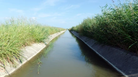 Agricultores del Valle del Alagón piden la reparación completa del canal para evitar pérdidas elevadas
