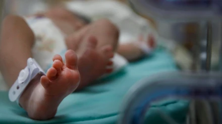 Los nacimiento llegan a mínimos históricos en todo el mundo