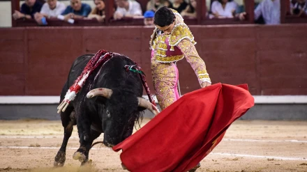 Natural de El Mene al novillo de Casa de los Toreros al que cortó una oreja