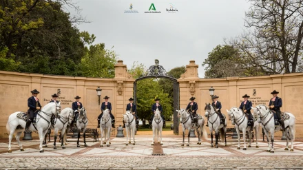 Real Escuela Andaluza del Arte Ecuestre