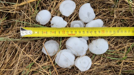 Pelotas de granizo caído en Pallars Jussà