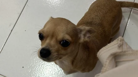 WhatsApp Image 2025-07-28 at 10.18.47