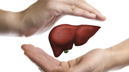 Cuidar el hígado es garantía de salud a cualquier edad