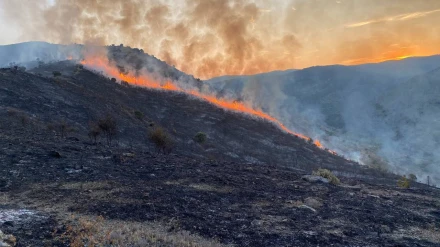 El Gobierno de La Rioja ha declarado el nivel 1 forestal por el incendio en el monte de la aldea de Valdeperillo, perteneciente a Cornago