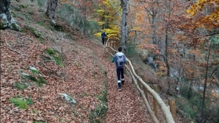 Medio Ambiente propone paseos interpretativos, una marcha nocturna, una ruta musical y actividades el fin de semana